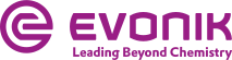 Evonik case study